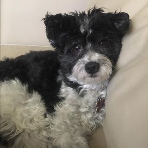 Meet your Posher, Donna